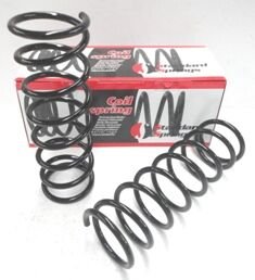 NISSAN MICRA- K11- 93/97; ARKA HELEZON YAYI SAĞ/SOL (2Lİ SET) (10,75X112) (STDR) 550205F10