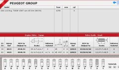 SİBOP TAKIMI 0819 4429 IN 4 EX 4 P206 1.6İ 8V MOTOR TU5JP