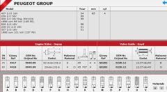 SİBOP TAKIMI 4417 4418 IN 8 EX 8 P206 P307 P406 2.0 16V
