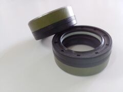 30X44X17 COMBI NBR