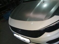 FIAT EGEA- CROSS- 21/24; MOTOR KAPUTU (İCELİ/ÇEKOMASTİKLİ) (EAGLE BODY) 52110085