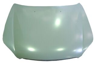 CHEVROLET EPICA- 07/12; MOTOR KAPUTU GRİ BOYALI (İCELİ/ÇEKOMASTİKLİ) (SIMYI) 96636551