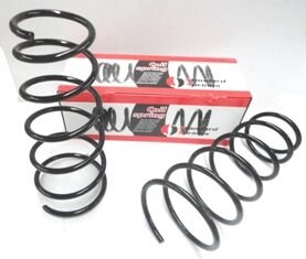 VOLKSWAGEN PASSAT- B6- 05/10; ÖN HELEZON YAYI SAĞ/SOL (2Lİ SET) 1.9/2.0 (12,75X141X347) (STDR) 3C0411105C