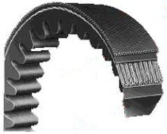 17X1850 BANDO TIRTILLI V KAYIŞI
