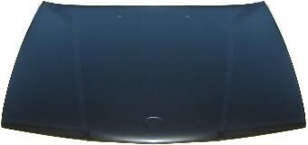 BMW 5 SERI- E34- 94/95; MOTOR KAPUTU (TYG) 41618137997