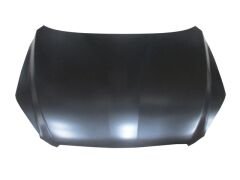 TOYOTA RAV4- 06/09; MOTOR KAPUTU (TYG) 53301-42070